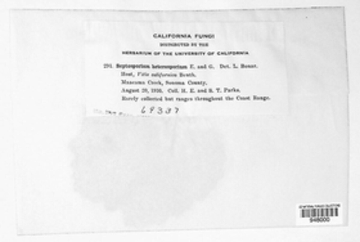 Passalora heterosporella image
